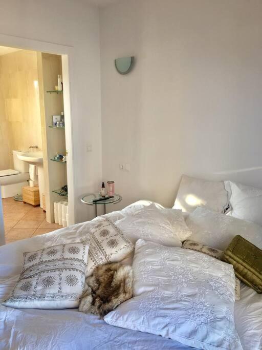 Appartement Experience Beautiful Duplex Penthouse With Terrace In *