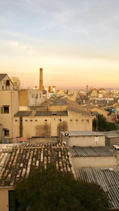Experience Beautiful Duplex Penthouse With Terrace In * Palma