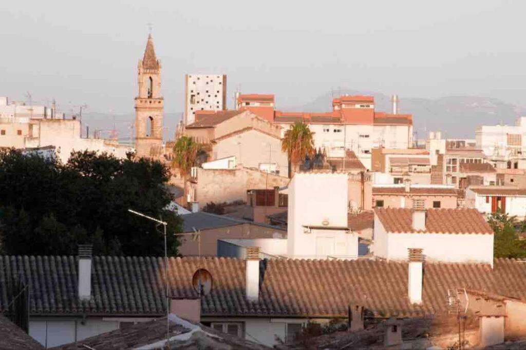 Experience Beautiful Duplex Penthouse With Terrace In Palma